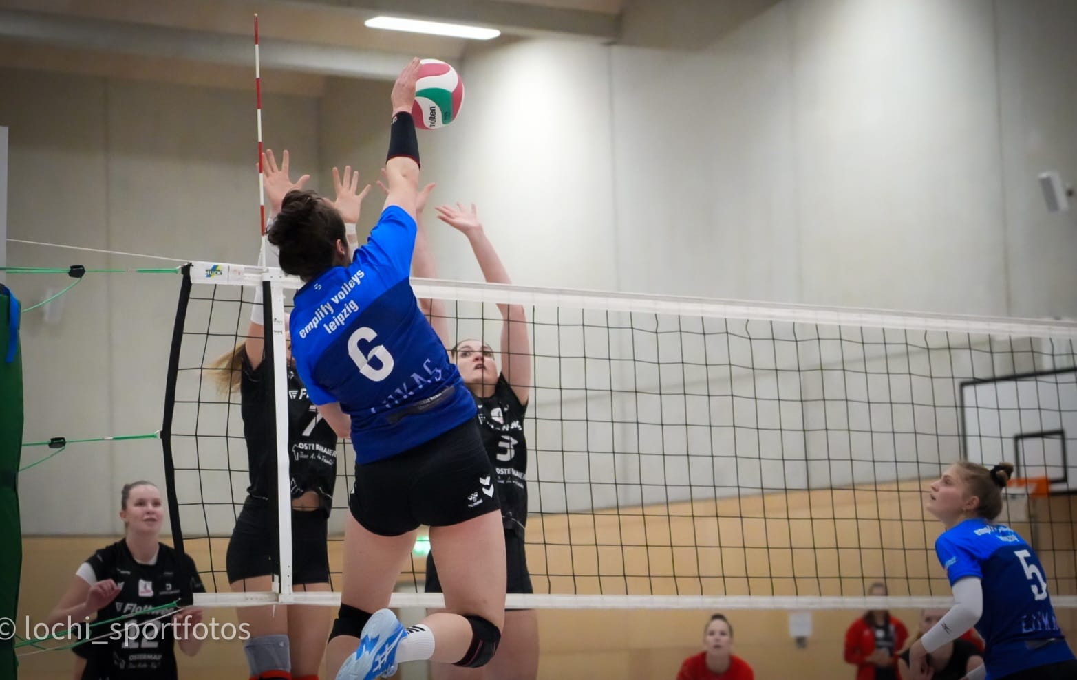 WhatsApp Image 2025-11-17 at 17.53.41